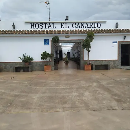 El Canario *