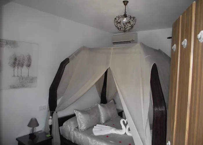 El Canario Guest house Conil De La Frontera