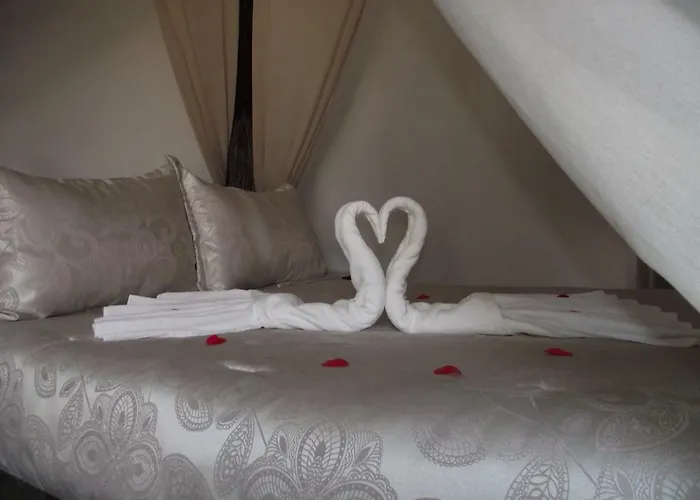 El Canario Guest house *