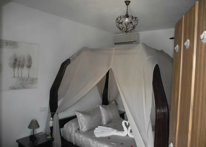 Guest house El Canario *