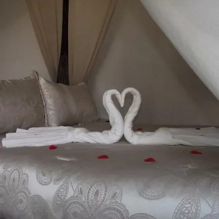 El Canario Guest house *