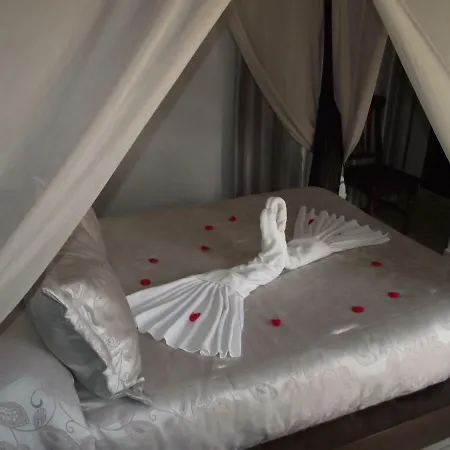 招待所 金丝雀旅馆 科尼尔-德拉弗龙特拉